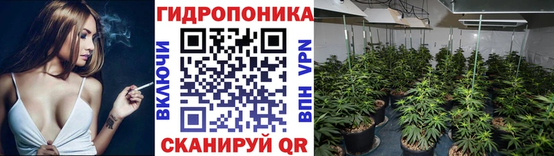 купить наркотик  Сусуман  Каннабис White Widow 